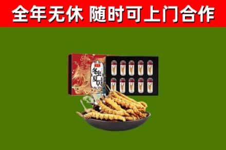 费县回收冬虫夏草价格