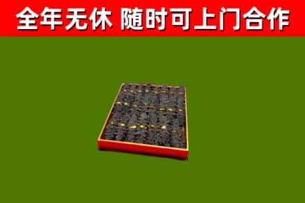 费县烟酒回收海参.jpg